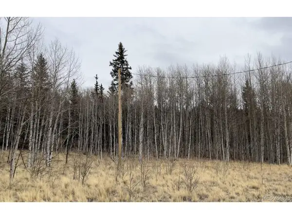 688 Ouray Trl, Como, CO 80432