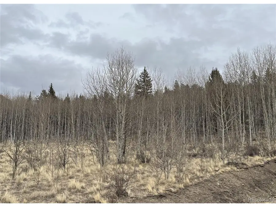 688 Ouray Trl, Como, CO 80432 - #2