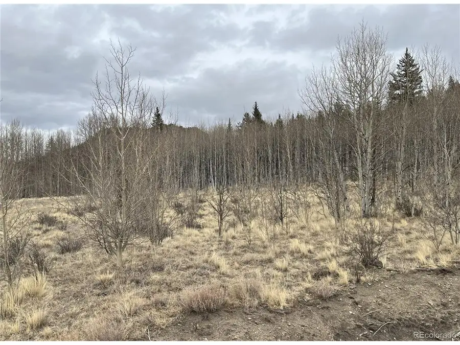 688 Ouray Trl, Como, CO 80432 - #3