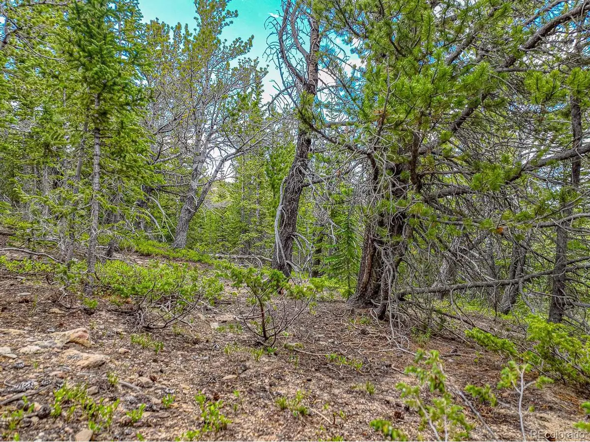 111 Mosquito Creek Rd, Black Hawk, CO 80422 - #1