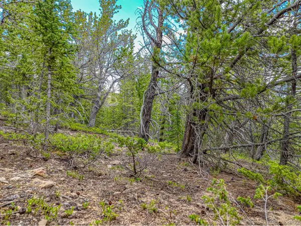 111 Mosquito Creek Rd, Black Hawk, CO 80422