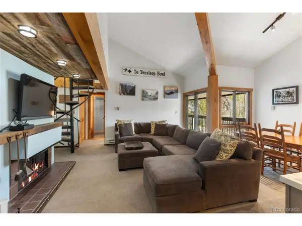 393 Wild Irishman Rd #1066, Keystone, CO 80435