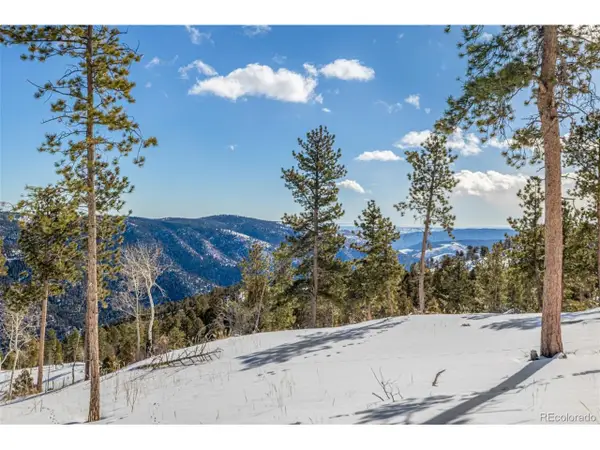 13144 Pine Country Ln, Conifer, CO 80433
