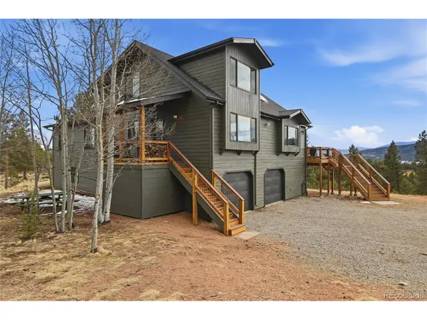 1146 Tapadero Rd, Bailey, CO 80421