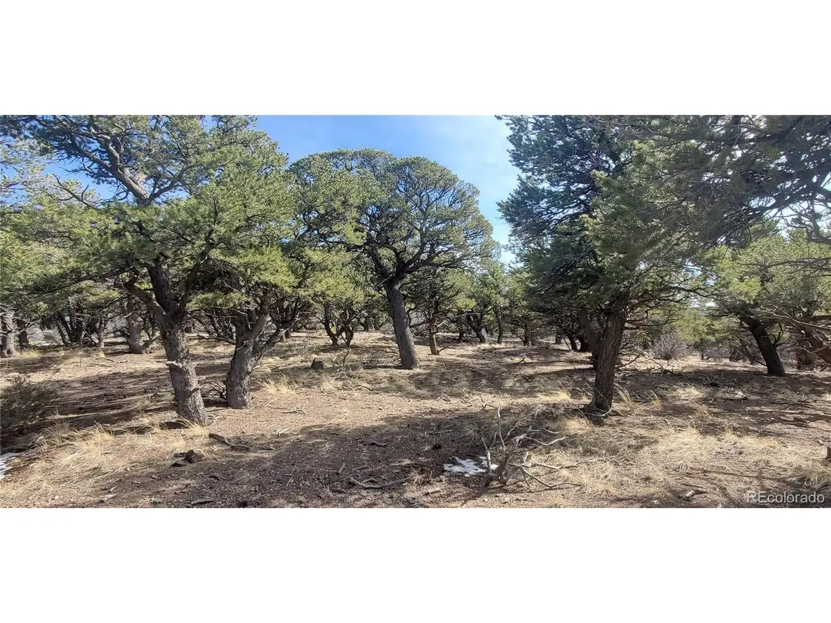 7274 Barker Rd, Fort Garland, CO 81133 - #1