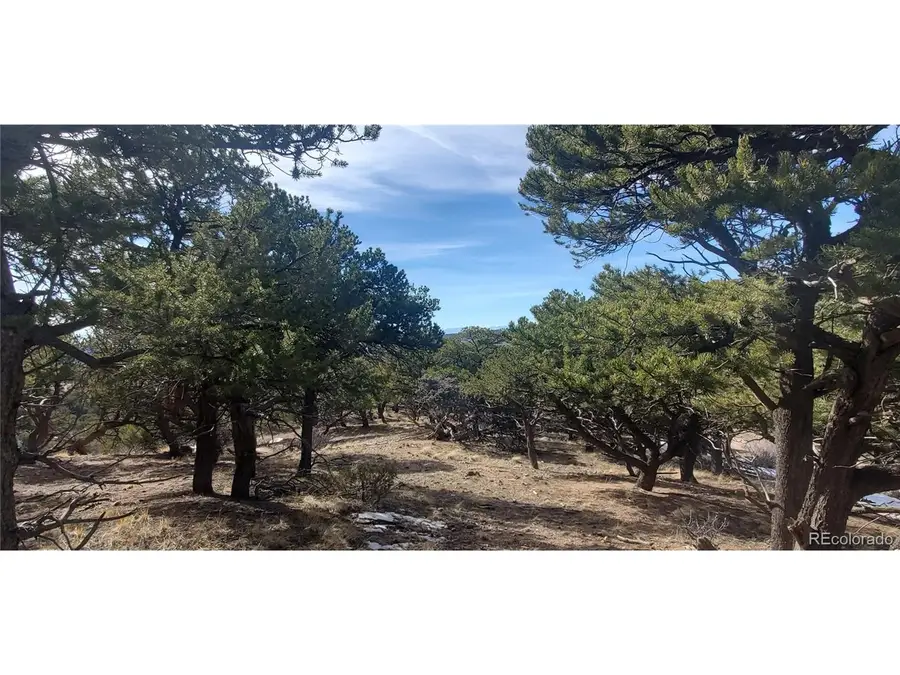 7274 Barker Rd, Fort Garland, CO 81133 - #2