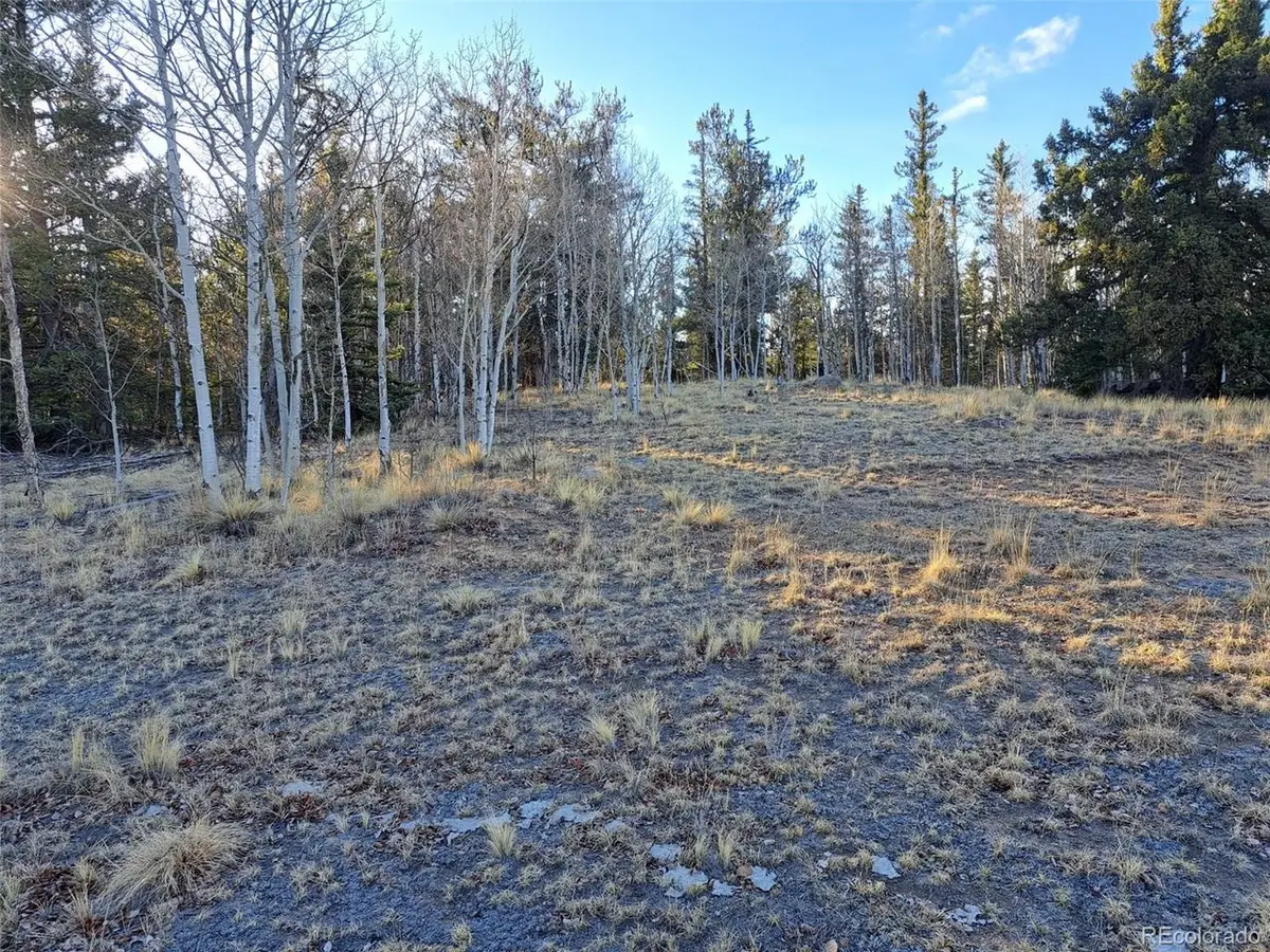1645 Chippewa Rd, Como, CO 80432 - #1