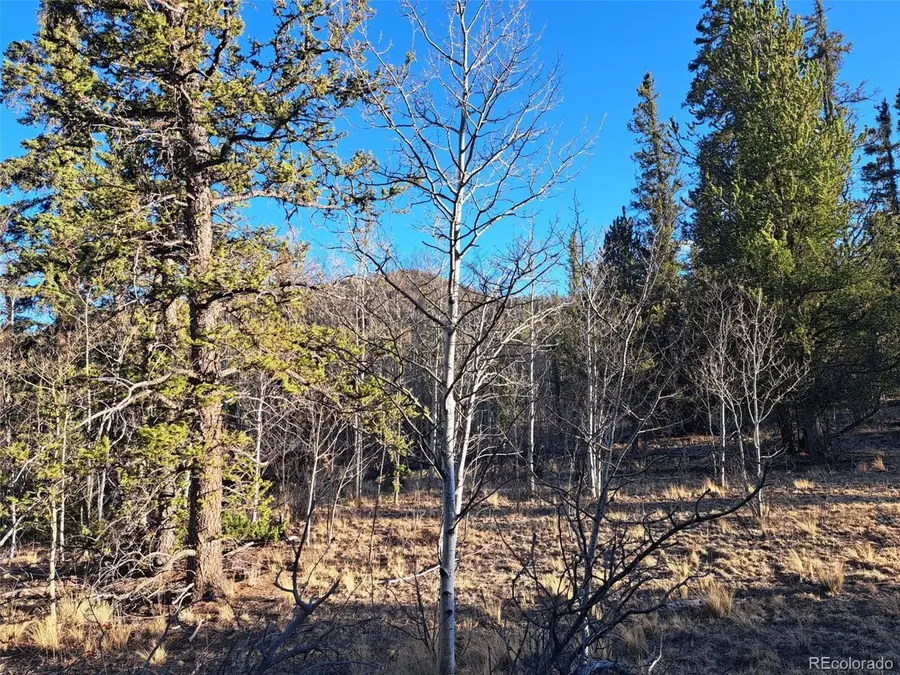 1645 Chippewa Rd, Como, CO 80432 - #3