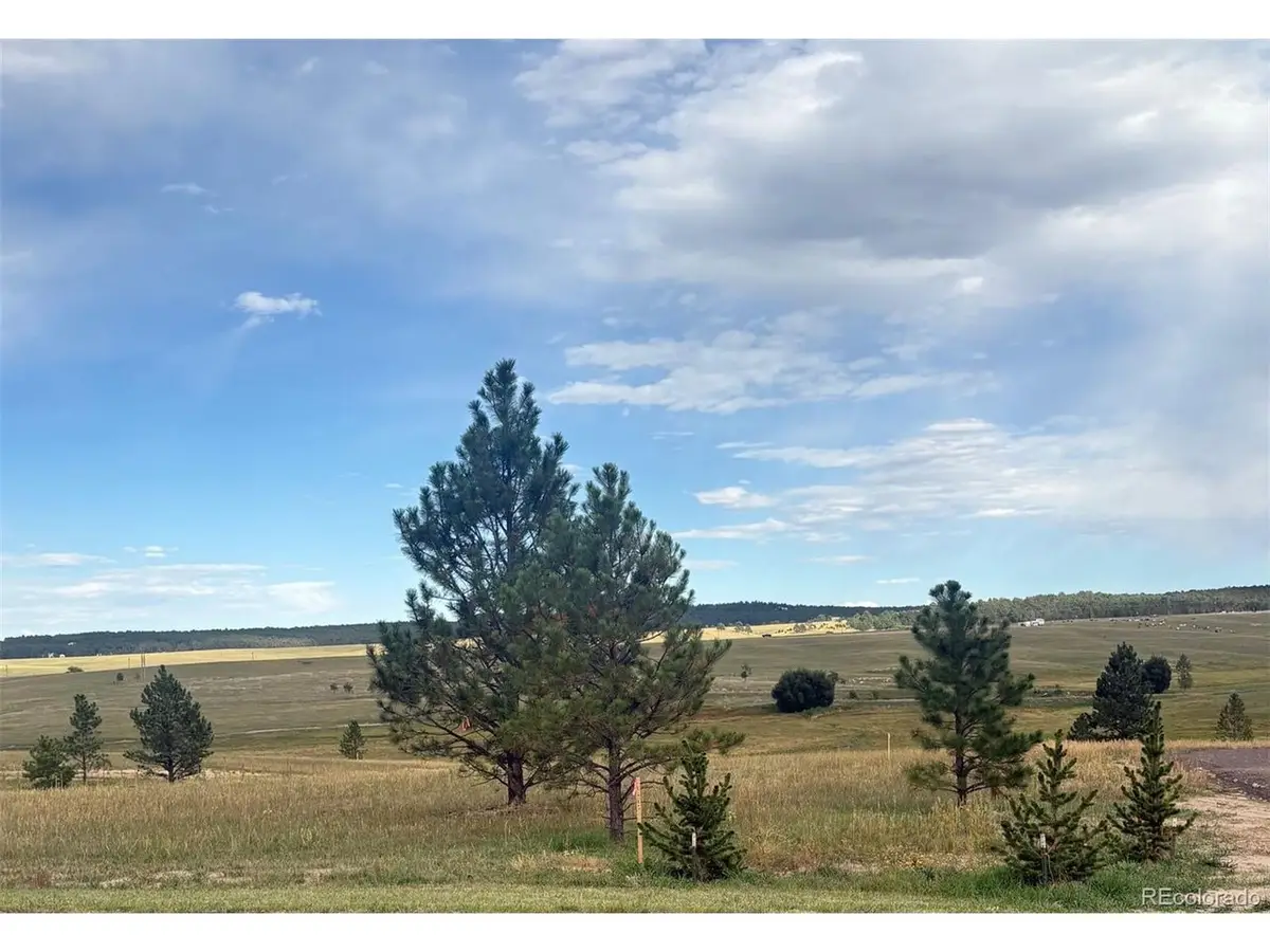 18899 Cherry Springs Ranch Dr, Monument, CO 80132 - #1