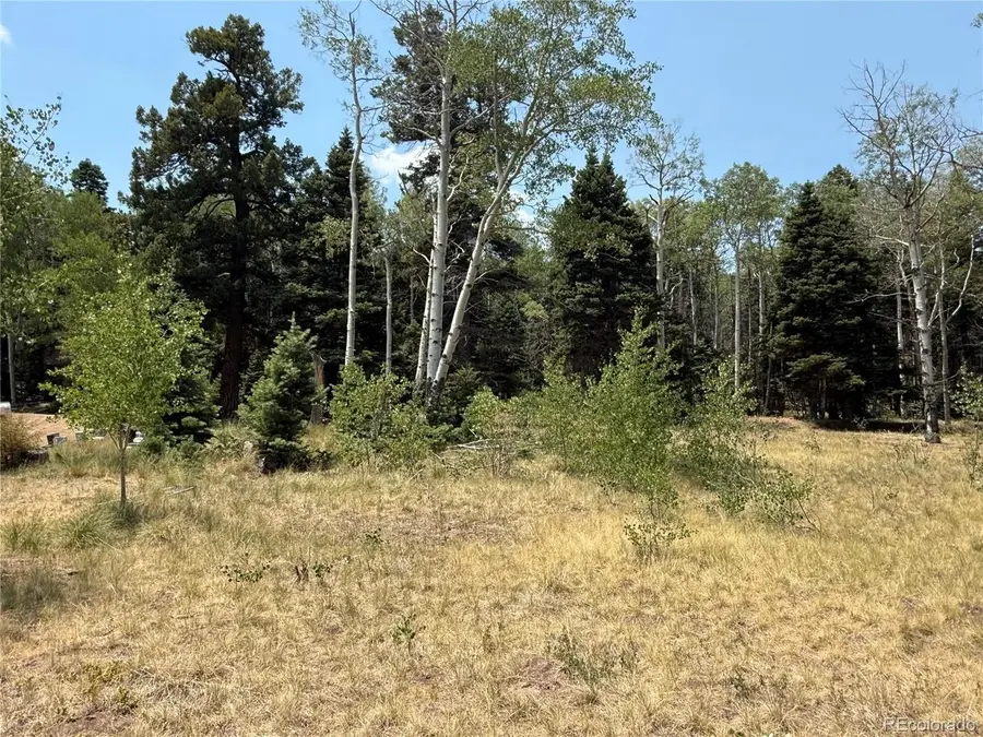 2357 Benton Pl, Fort Garland, CO 81133 - #3
