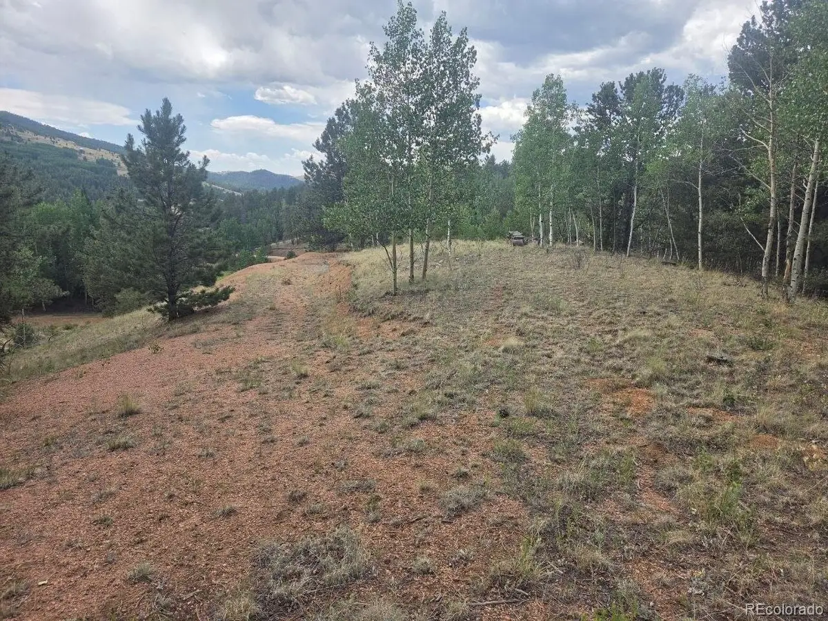 1124 Yorktown Rd, Cripple Creek, CO 80813 - #1