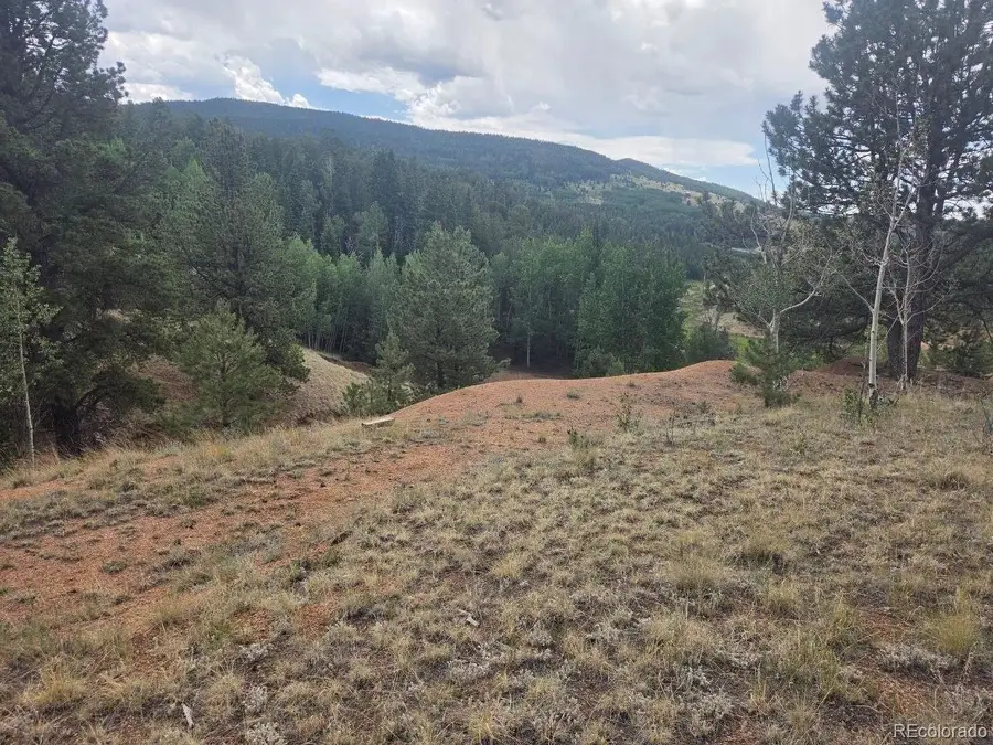 1124 Yorktown Rd, Cripple Creek, CO 80813 - #2