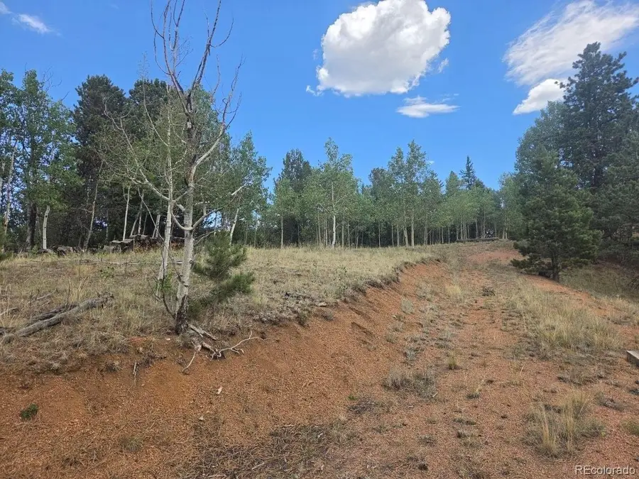 1124 Yorktown Rd, Cripple Creek, CO 80813 - #3
