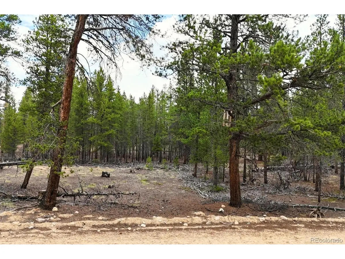 701 Cedar Dr, Leadville, CO 80461 - #1