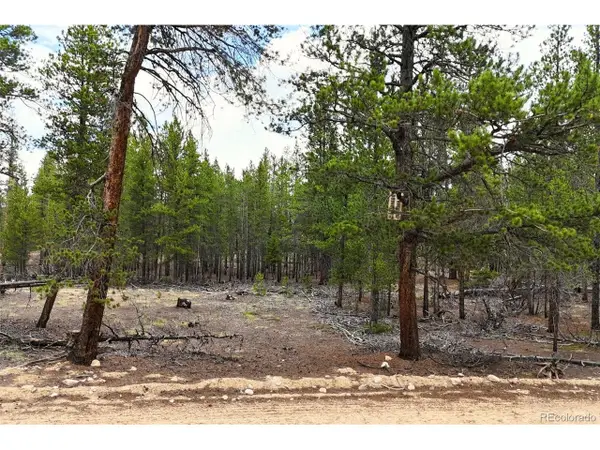 701 Cedar Dr, Leadville, CO 80461