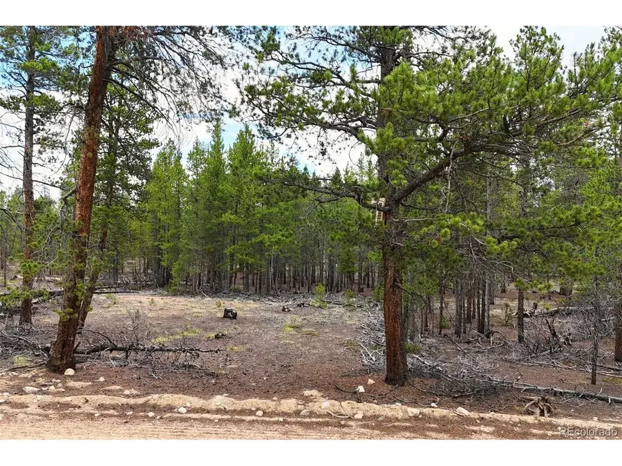 701 Cedar Dr, Leadville, CO 80461 - #2