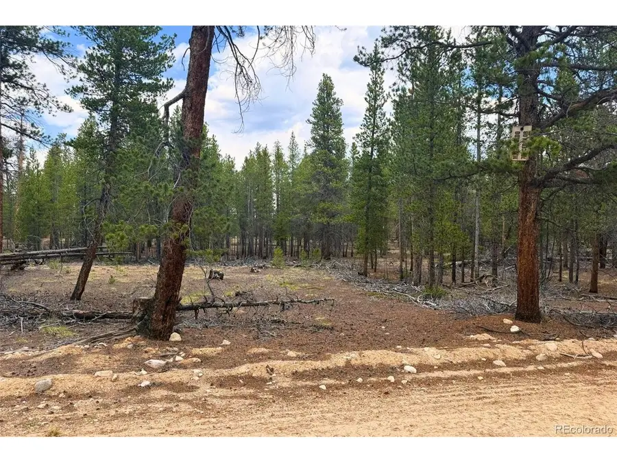 701 Cedar Dr, Leadville, CO 80461 - #3