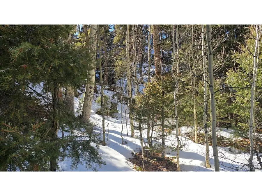 5540 Joy Rd, Fort Garland, CO 81133 - #2