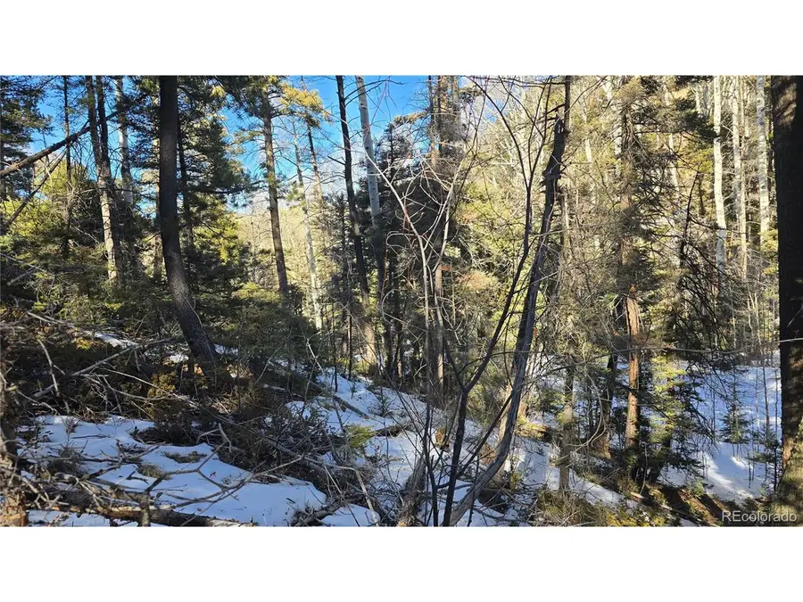 5540 Joy Rd, Fort Garland, CO 81133 - #3