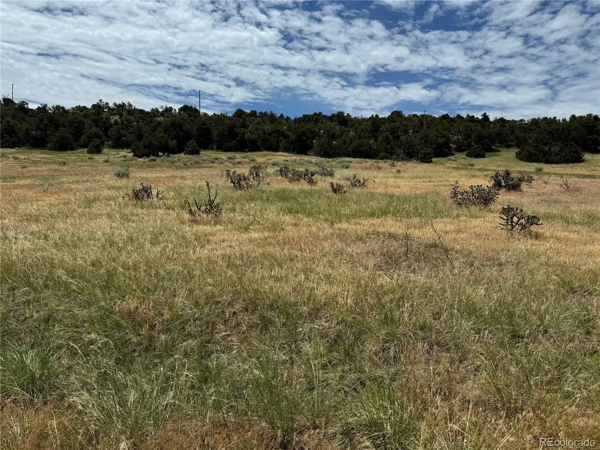 Badger Rd, Walsenburg, CO 81089 - #1