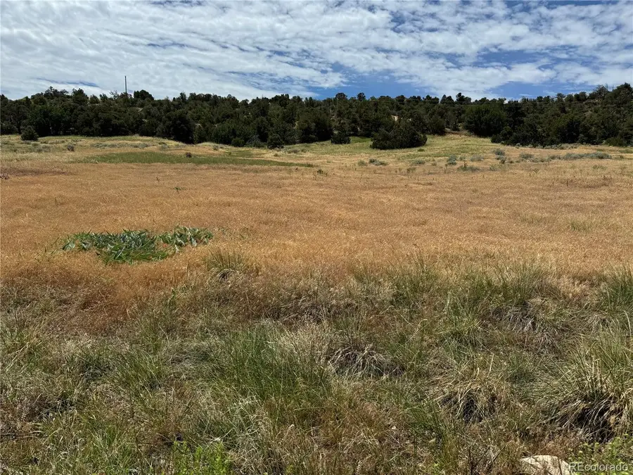Badger Rd, Walsenburg, CO 81089 - #2