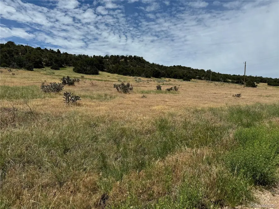 Badger Rd, Walsenburg, CO 81089 - #3