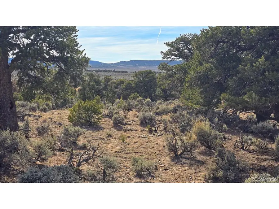 7293 Barker Rd, Fort Garland, CO 81133 - #2