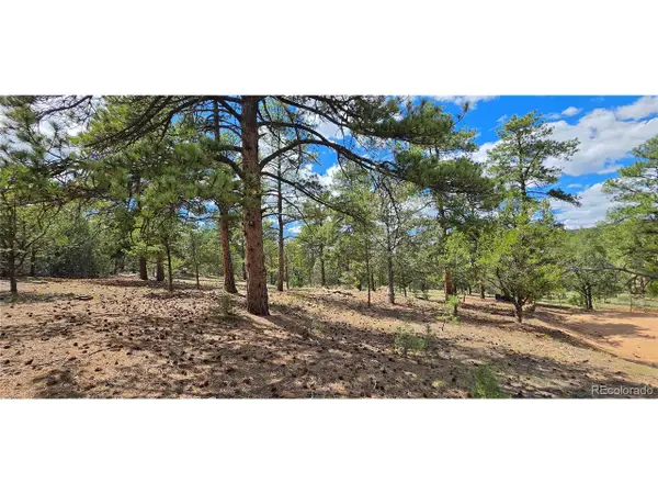 638 Keith Ln, Cotopaxi, CO 81223