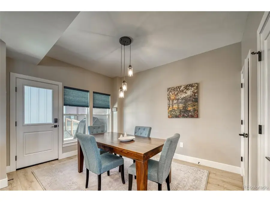 1404 Silver Vault St, Leadville, CO 80461 - #3