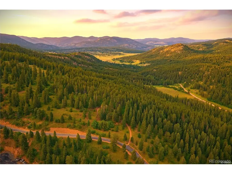 32553 Lodgepole Cir, Evergreen, CO 80439 - #3