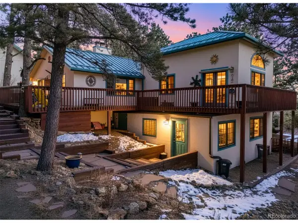 2 King Pl, Nederland, CO 80466