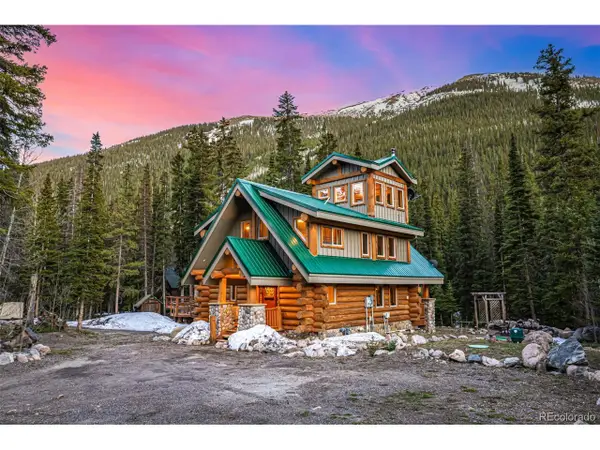 50 Pine St, Empire, CO 80438