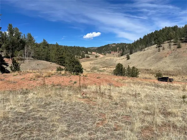 323 Gold King Dr, Cripple Creek, CO 80813