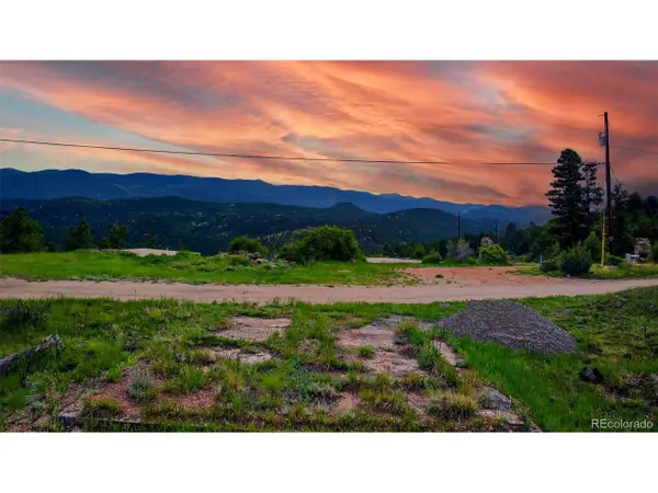 33888 Mineral Ln, Pine, CO 80470