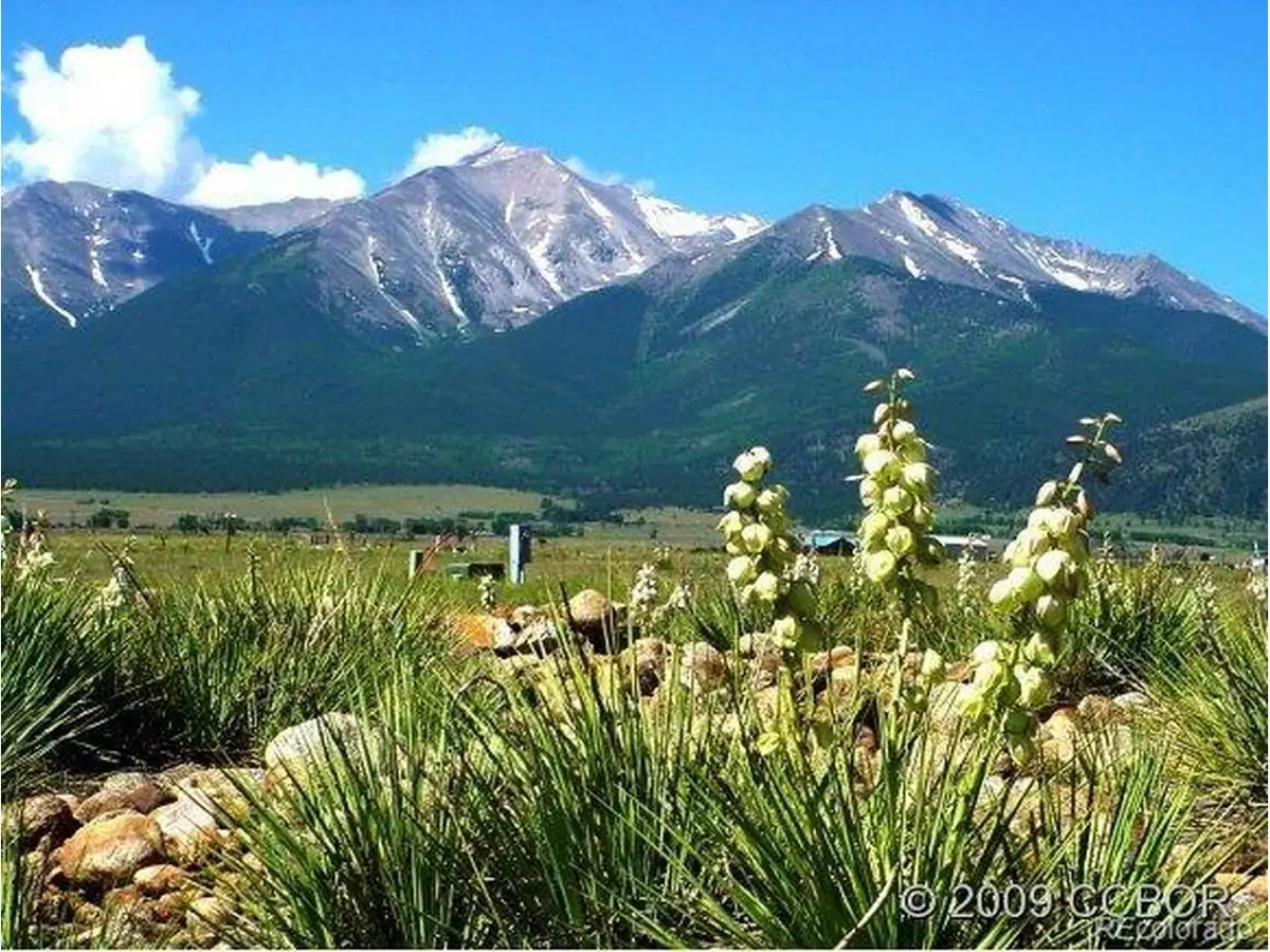 28679 Westwinds Pl, Buena Vista, CO 81211 - #1