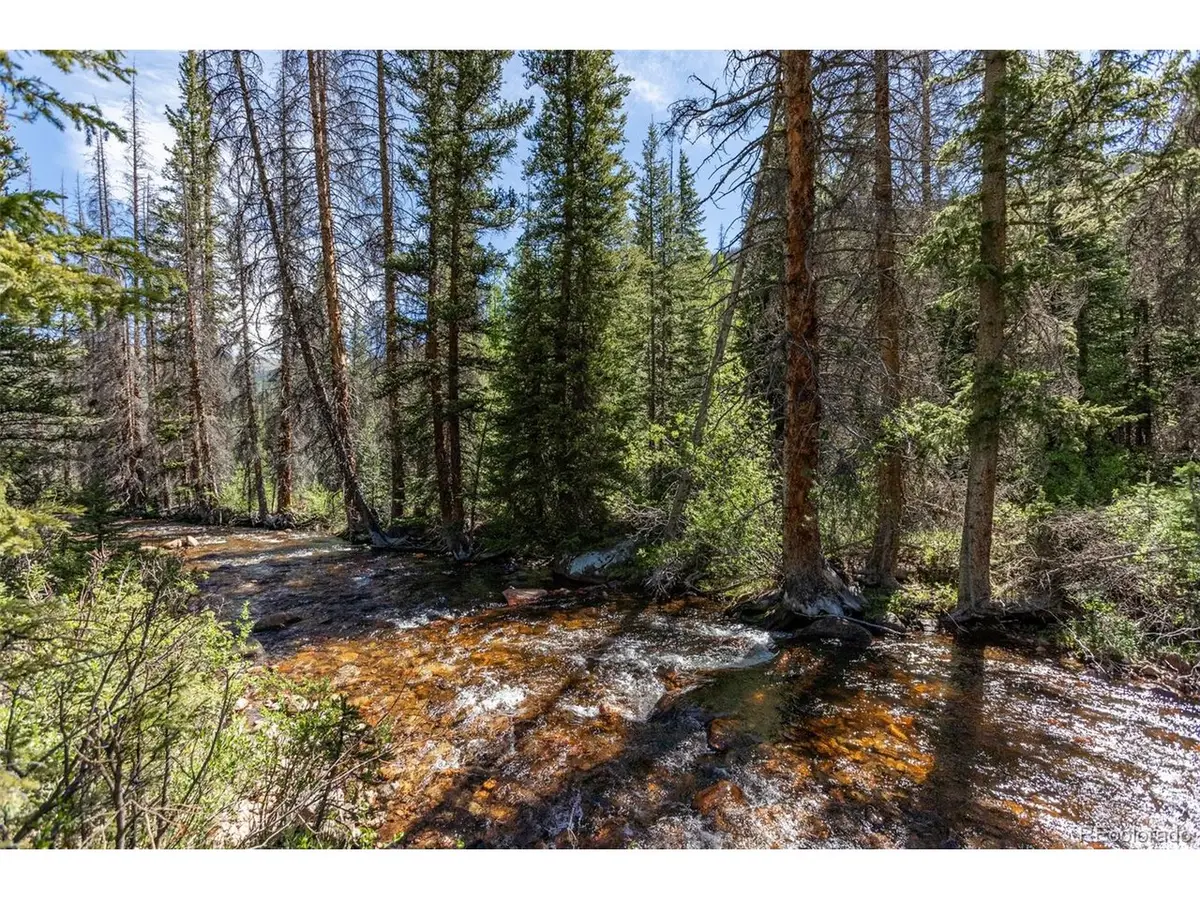 18990 Cr-294, Nathrop, CO 81236 - #1