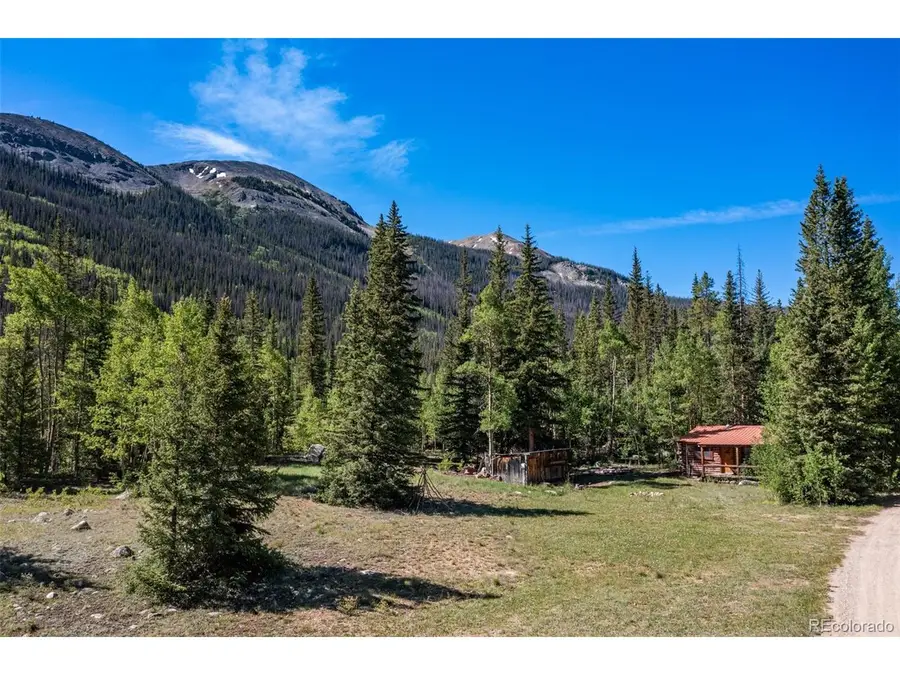 18990 Cr-294, Nathrop, CO 81236 - #3