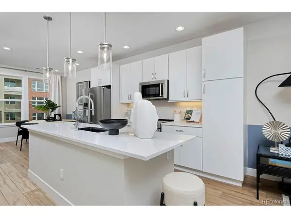 3213 W Frances Walsh Pl, Denver, CO 80236