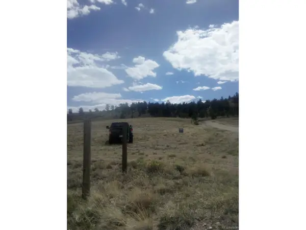 1192 Corral Rd, Hartsel, CO 80449