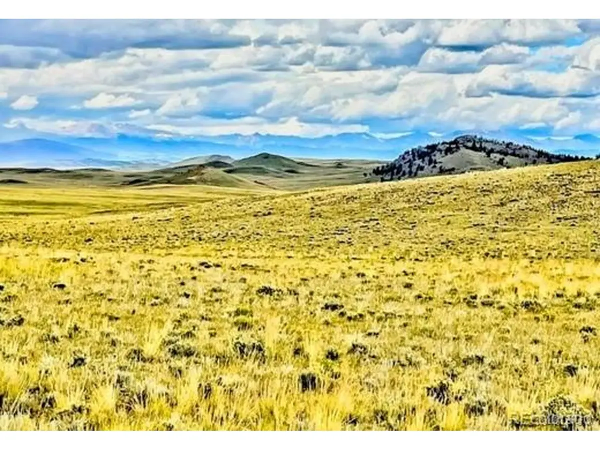 123 Chickamauga Trl, Hartsel, CO 80449 - #1