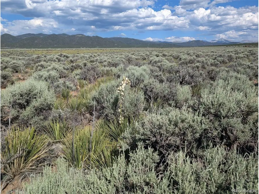 10 Dante Rd, Fort Garland, CO 81133 - #3