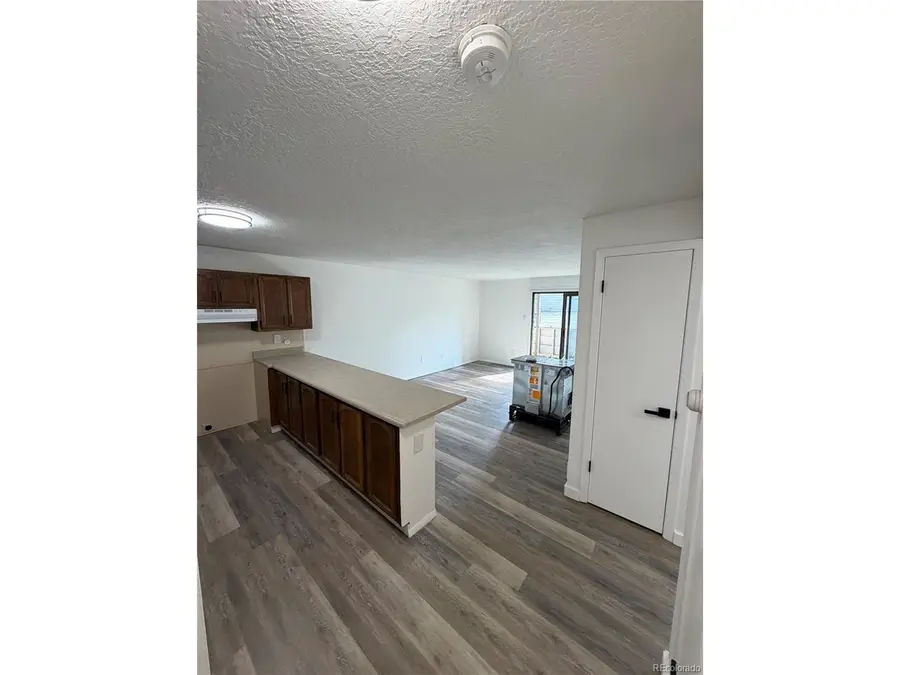 705 Straight Creek Dr #102, Dillon, CO 80435 - #3