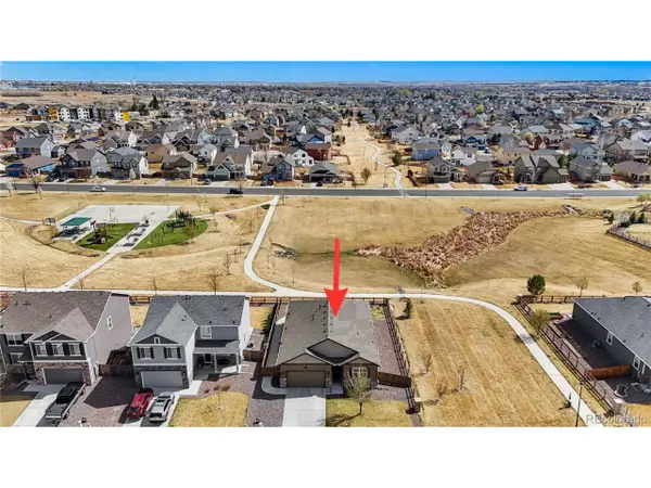 1645 Clarendon Dr, Windsor, CO 80550