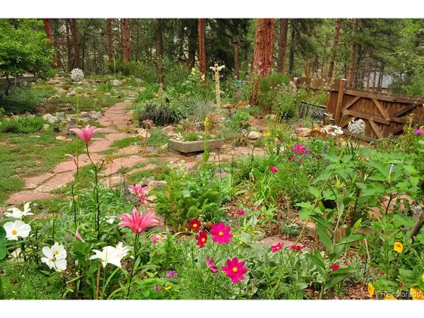 3137 Meadow View Rd, Evergreen, CO 80439