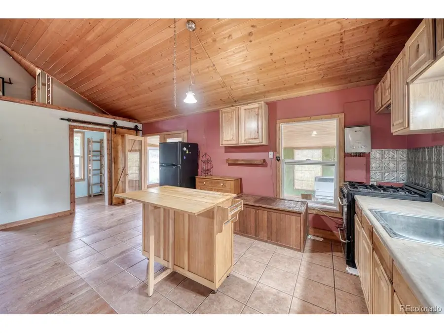 308 Dilley Ln, Westcliffe, CO 81252 - #3