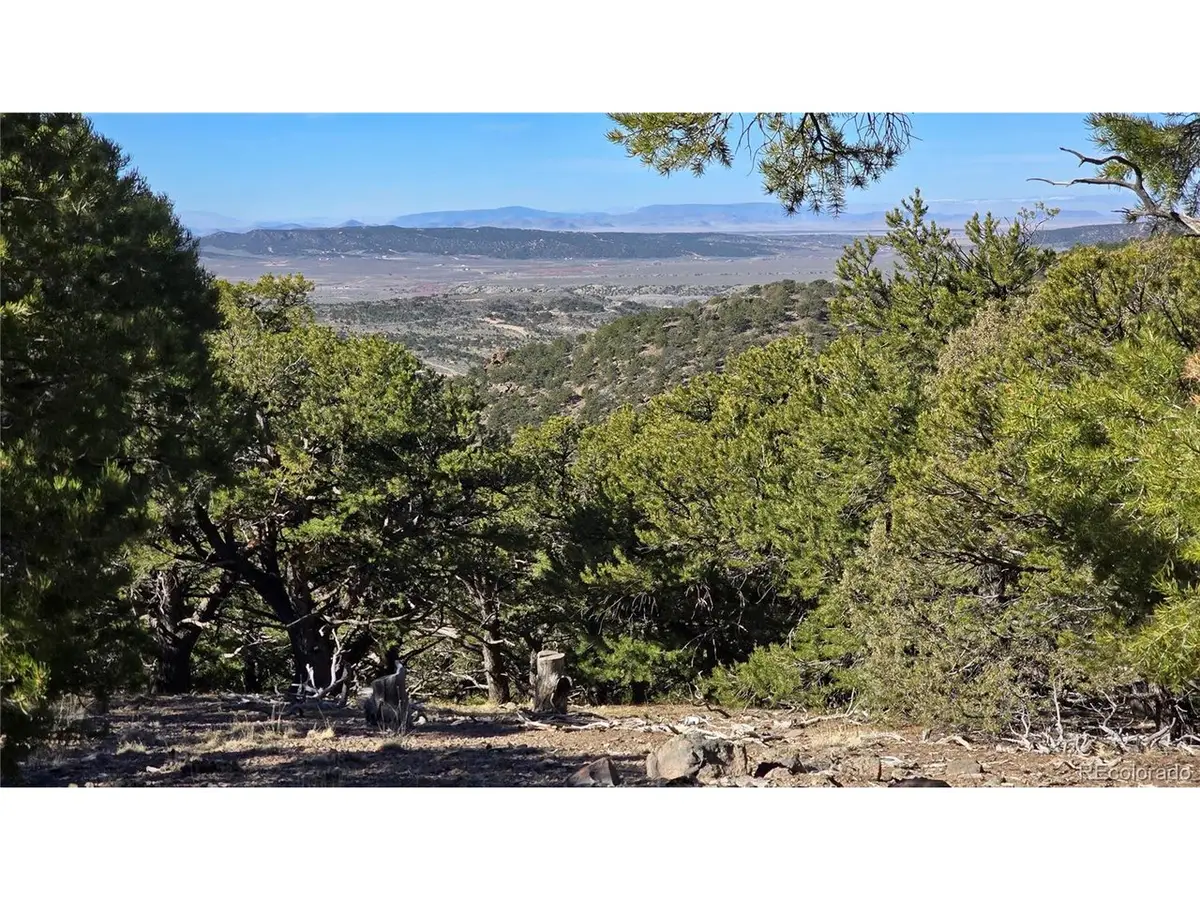 4510 Iannelli Rd, Fort Garland, CO 81133 - #1