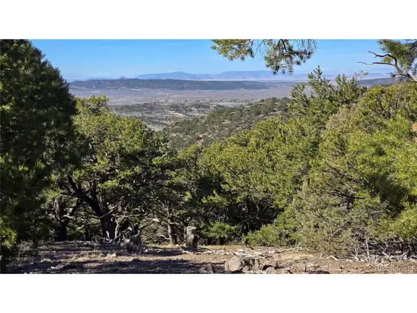 4510 Iannelli Rd, Fort Garland, CO 81133