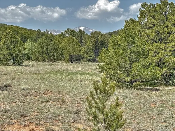 34 Corral N, Cotopaxi, CO 81223