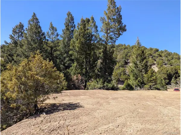 1593 Jaidi Rd, Fort Garland, CO 81133