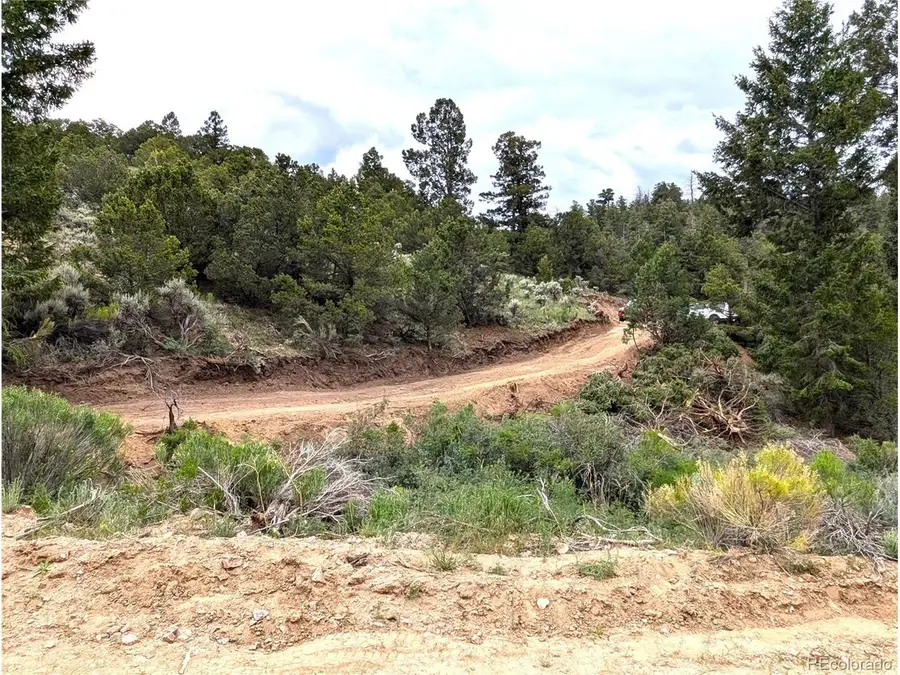1593 Jaidi Rd, Fort Garland, CO 81133 - #3